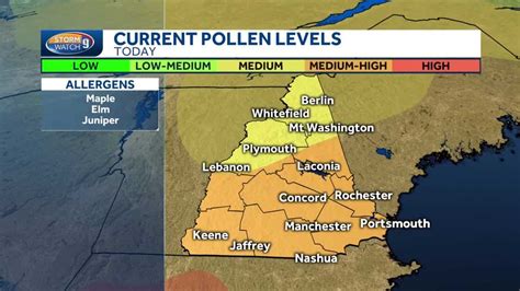 com will send your first allergy report when pollen conditions reach moderate levels (above 4. . Pollen count in nh
